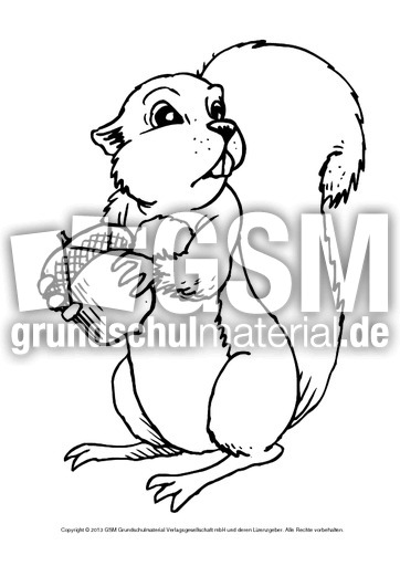 Ausmalbilder-Eichhhörnchen-1-6.pdf